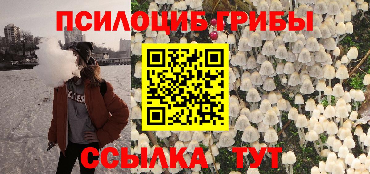 купить   Вход с VPN  Новоалтайск  Галлюциногенные грибы Psilocybe  Псилоцибиновые грибы мухоморы 