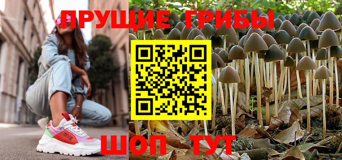 Псилоцибиновые грибы GOLDEN TEACHER Новоалтайск